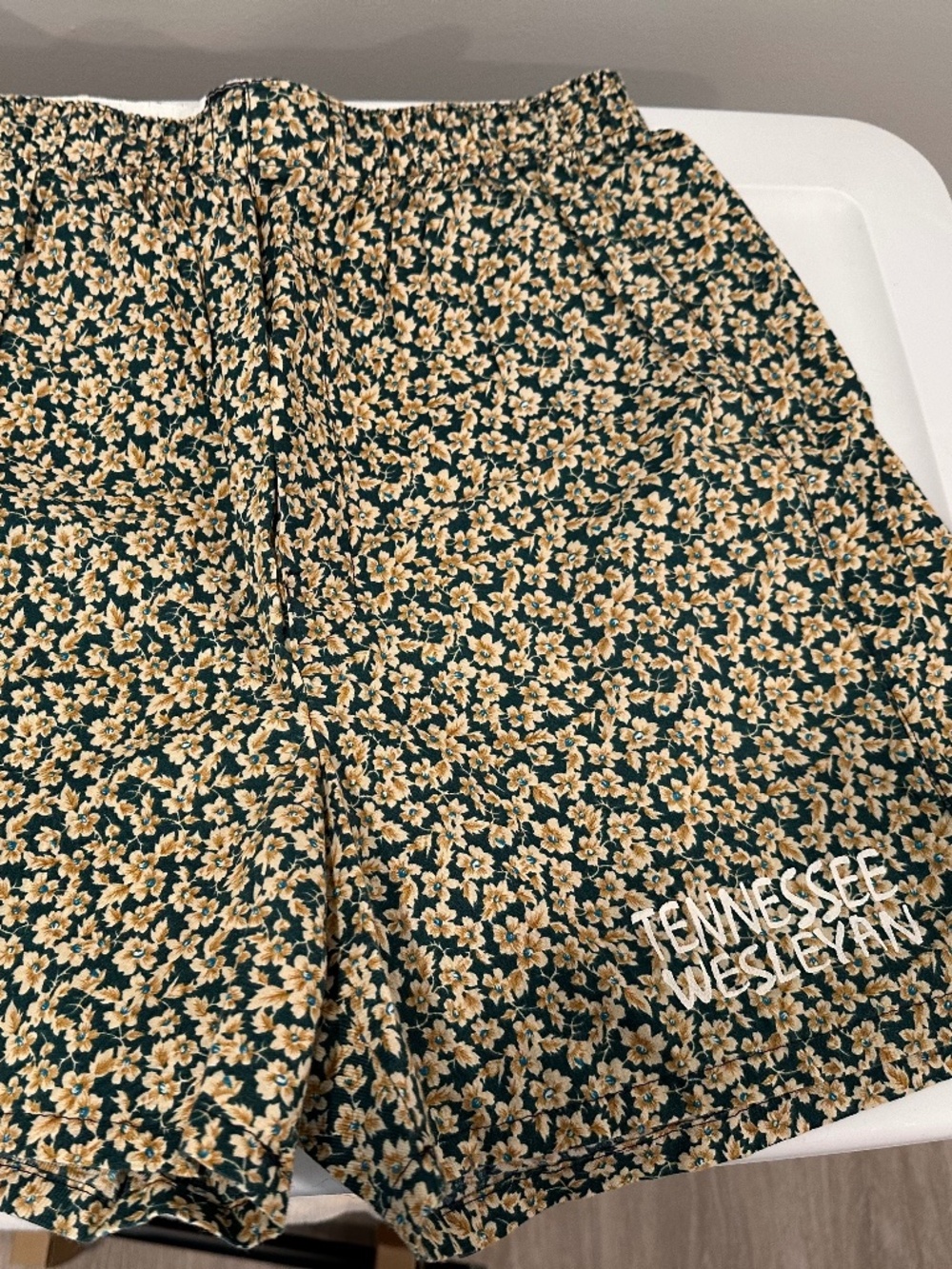 Vintage Tennessee Wesleyan Shorts with embroidery